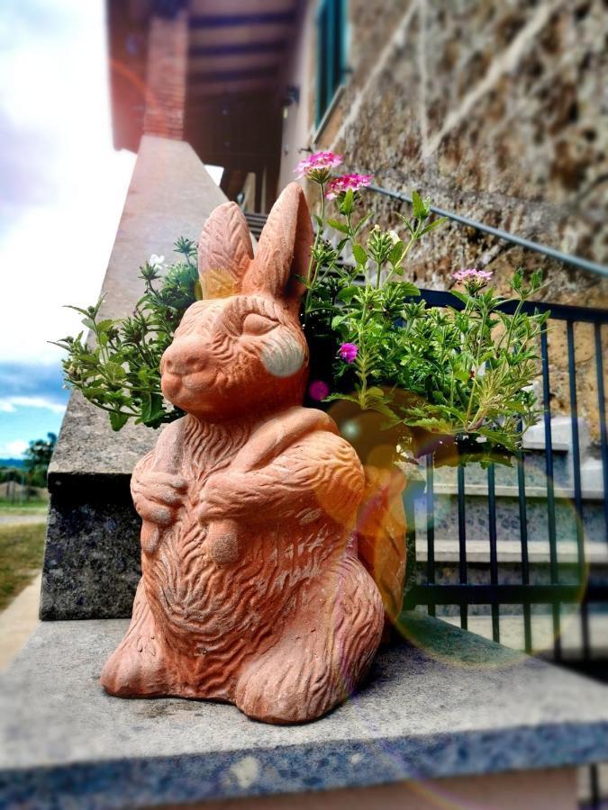 Castelvecchio B&B Sorano  Luaran gambar